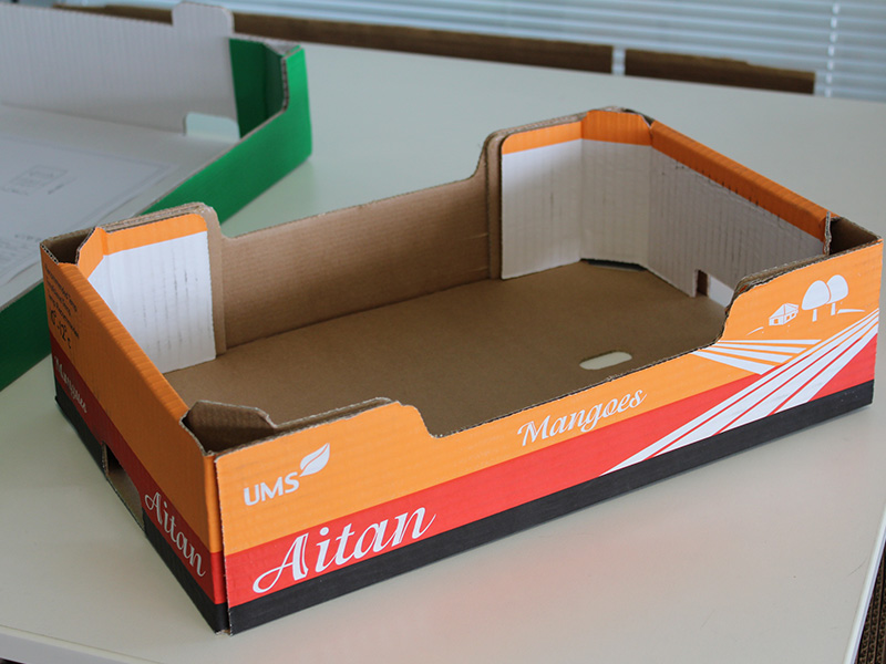 全自动纸箱成型机E3S