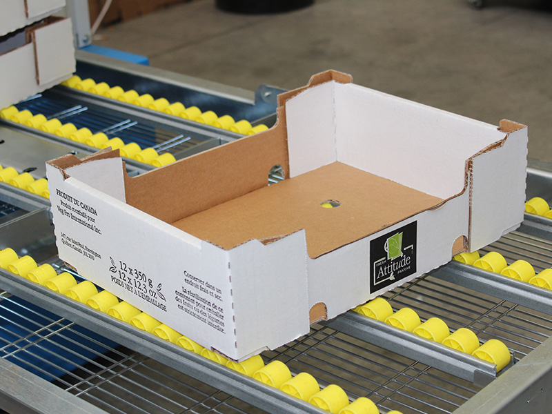 全自动纸箱成型机E3S