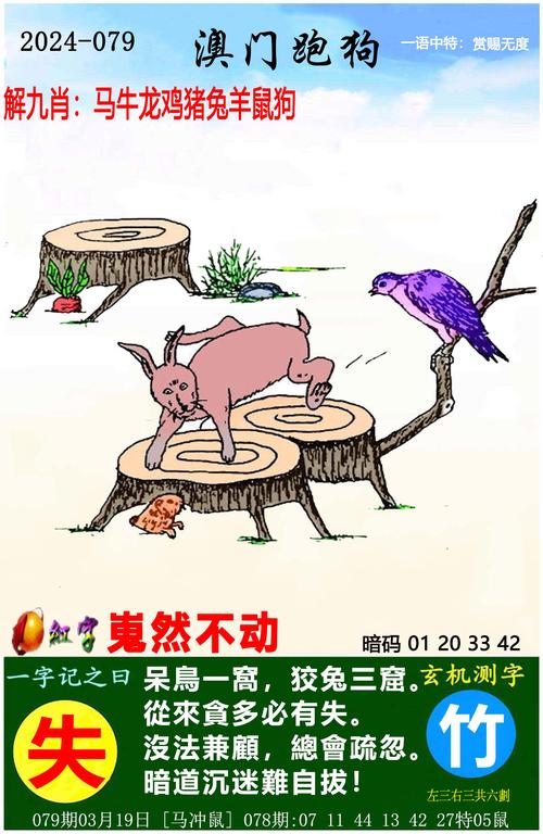 2025年5月28日 第7页
