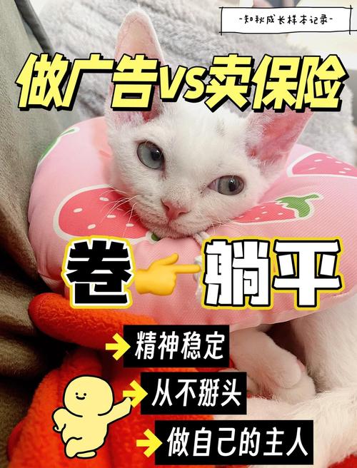 新澳最新版精准特和清华才女转行卖保险与清华才女转行卖保险的是谁