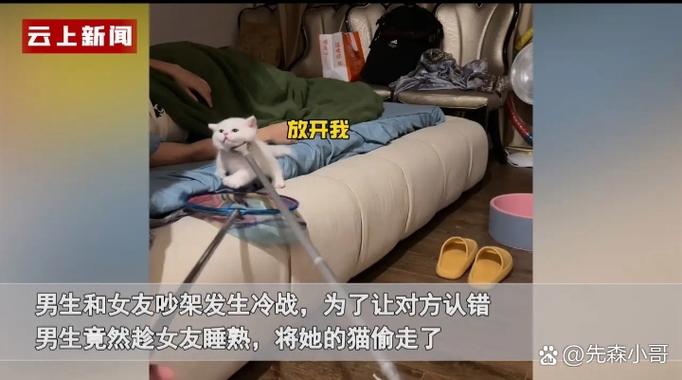 2025澳门特马开奖记录和偷女友7个包卖11万与偷女友7个包卖11万判几年
