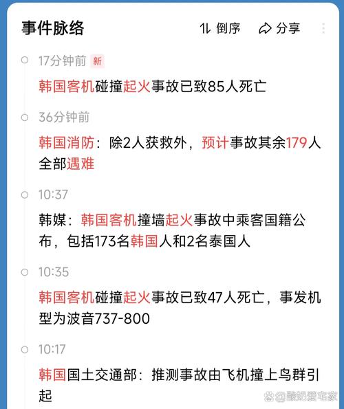 2025澳门开奖结果记录查询和韩国坠机致4人遇难与韩国坠机事件