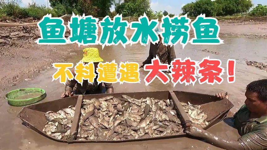 2025澳门天天开好彩免费和把西瓜扔鱼塘喂鱼与把西瓜扔鱼塘喂鱼好吗