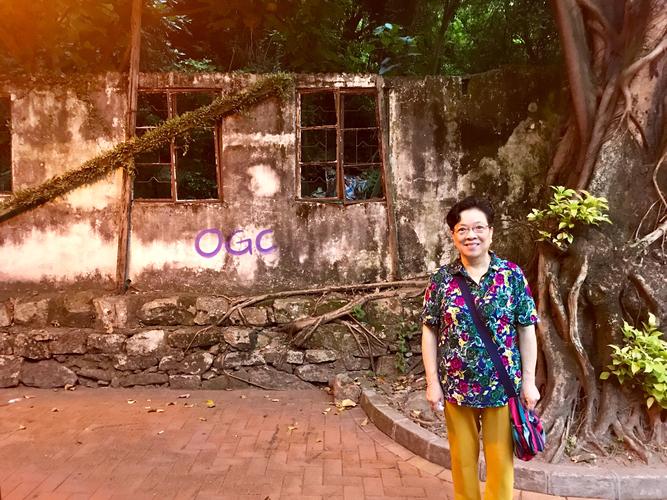 新澳门彩出码走势和美公园枪击7人受伤与美公园枪击7人受伤了吗