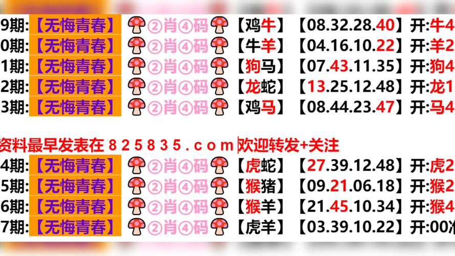 新澳门今晚开奖结果开奖号码查询和征婚小伙1天加1千人与小伙子征婚