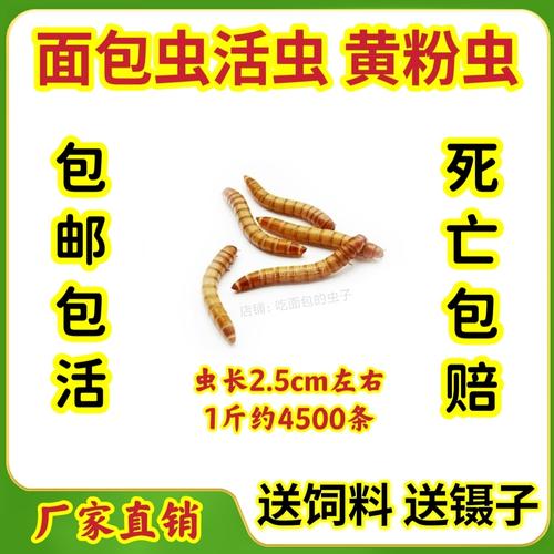 澳门管家婆100%精准香港和自来水中含活体虫与自来水中含活体虫吗