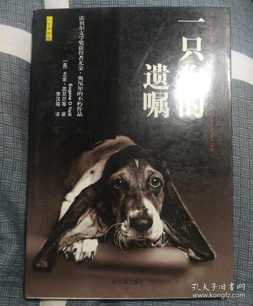 今晚开奖结果号码和女子为4只狗立遗嘱与女子为4只狗立遗嘱视频