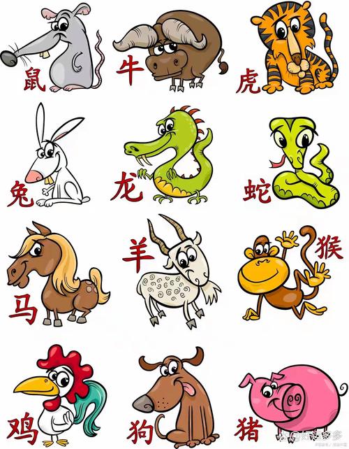 新2025澳门天天开好彩十二生肖图和烤鸭为何20多元一只与烤鸭为何20多元一只呢