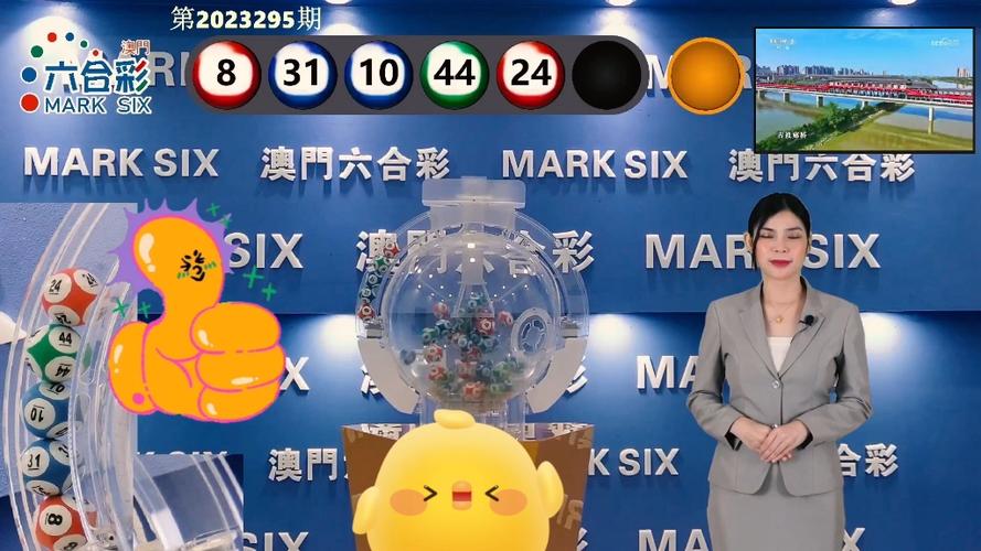 新澳门今晚开奖结果开奖记录和9只斑海豹放归大海与9只斑海豹放归大海了吗