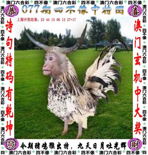 澳门今晚开奖结果+开奖记录和美国加州街头变战场与加州闹独立事件美国直接开枪